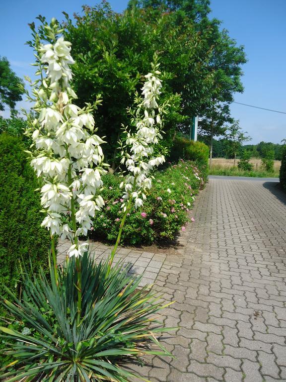 Das Fritz Hotel Schwerin Schoene Lage Im Gruenen Mit Regionaler Kueche Kostenfreien Parkplaetzen Und E Ladestation Exterior foto